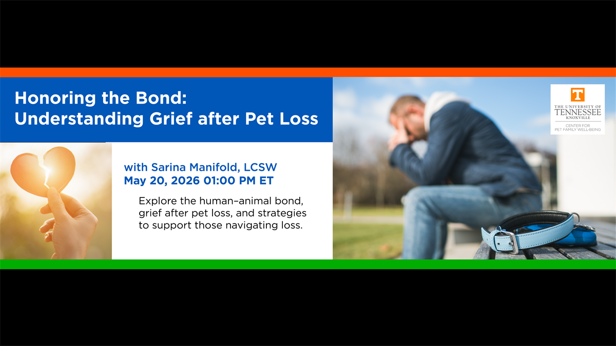 Honoring the Bond: Understanding Grief after Pet Loss